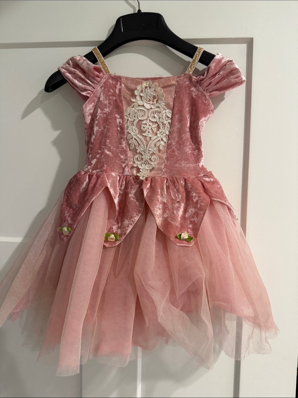 Rose Pink Velvet Princess Tulle Costume Dress with Lace Detail